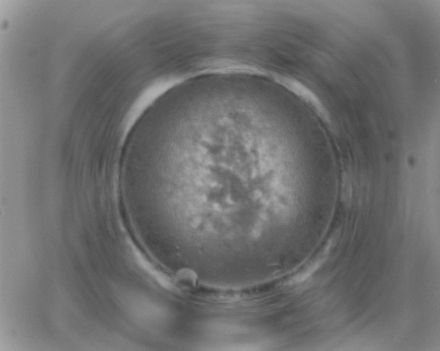 X0000065241231200602242016