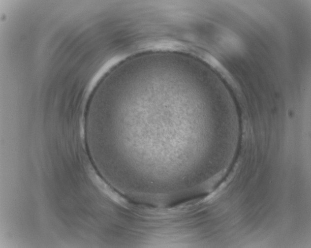 X0000065241232200602242016