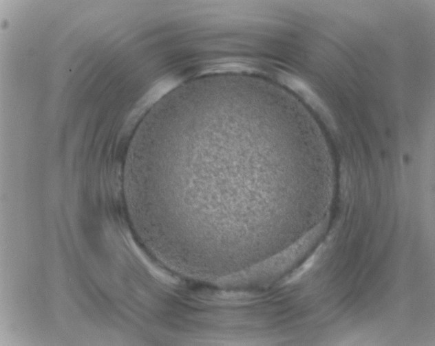 X0000065241233200602242016