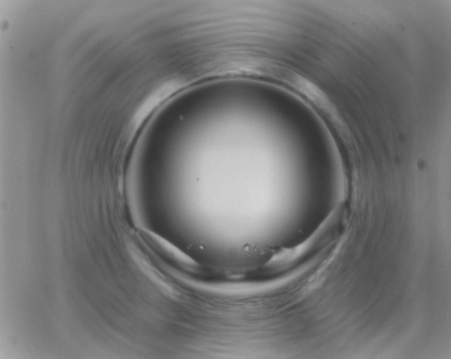 X0000065241234200602242016