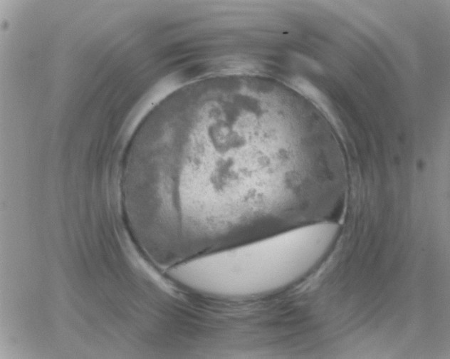 X0000065241235200602242016