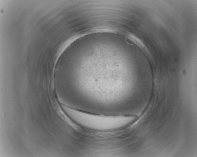 X0000065241236200602242016