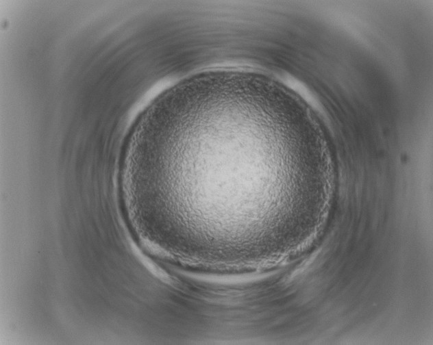 X0000065241237200602242016