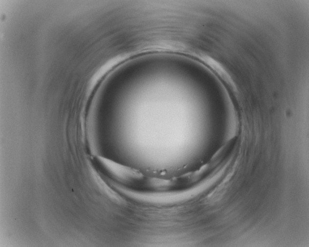 X0000065241238200602242016