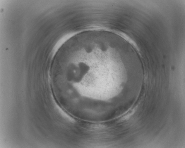 X0000065241239200602242016