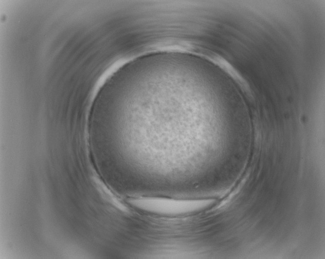 X0000065241240200602242016