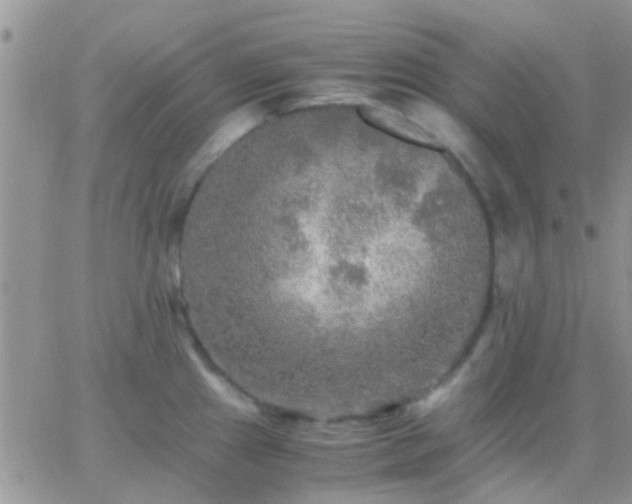 X0000065241241200602242016