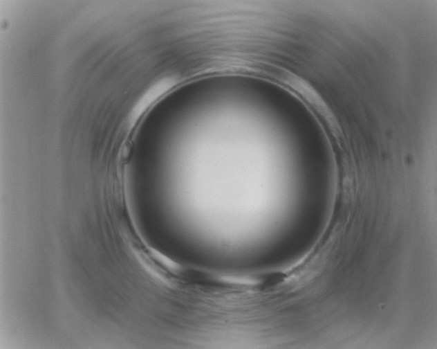 X0000065241242200602242016