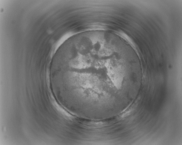 X0000065241243200602242016