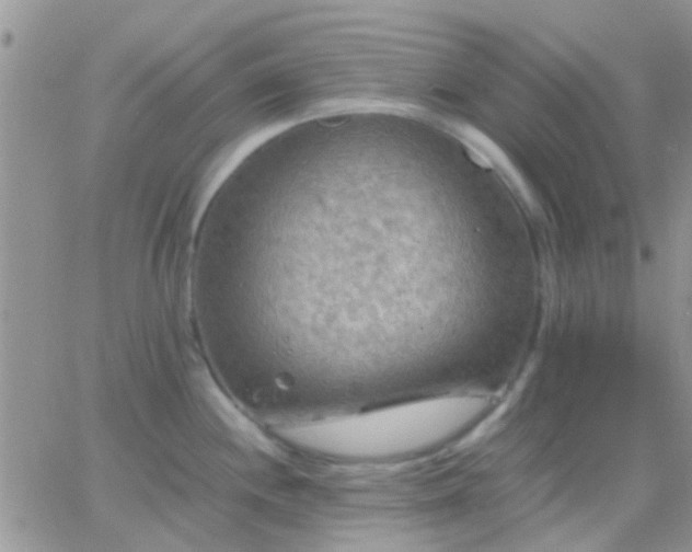 X0000065241244200602242016