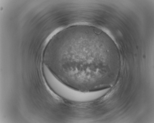 X0000065241245200602242016