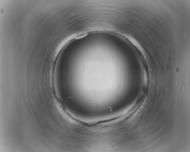 X0000065241246200602242017