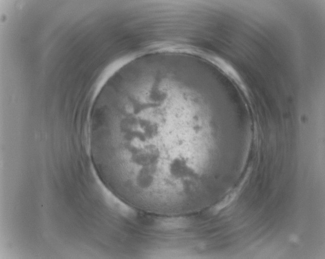 X0000065241247200602242017