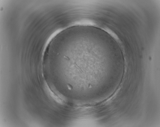 X0000065241248200602242017