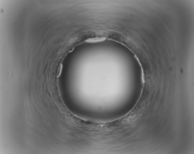 X0000065241249200602242016