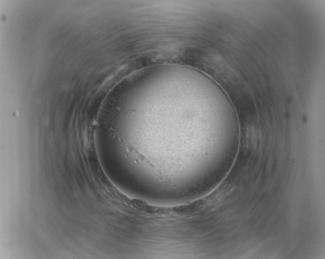 X0000065241250200602242016