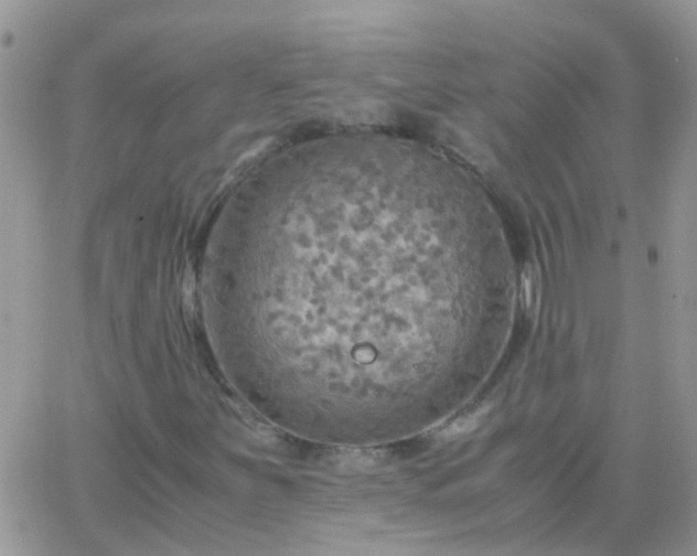 X0000065241251200602242016