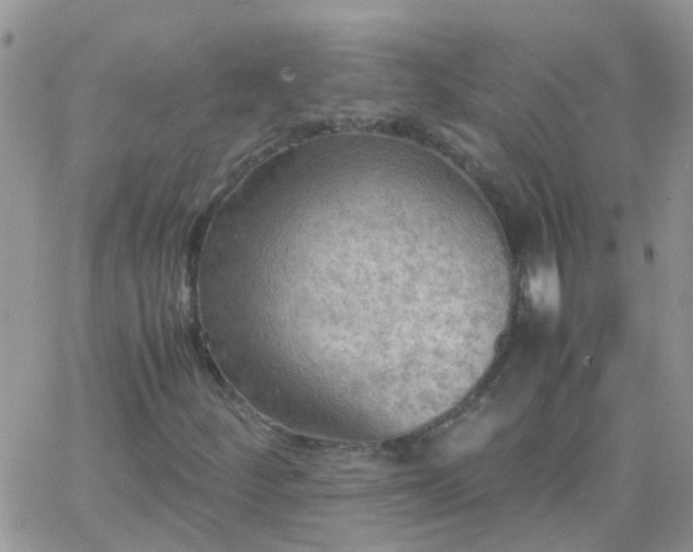 X0000065241252200602242016