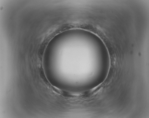 X0000065241253200602242016