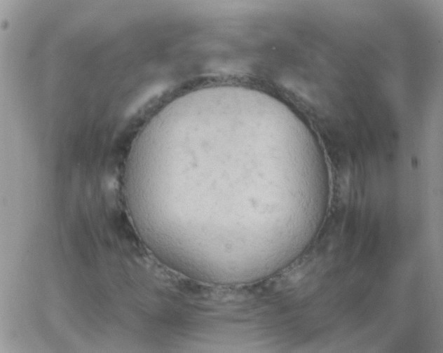 X0000065241254200602242016