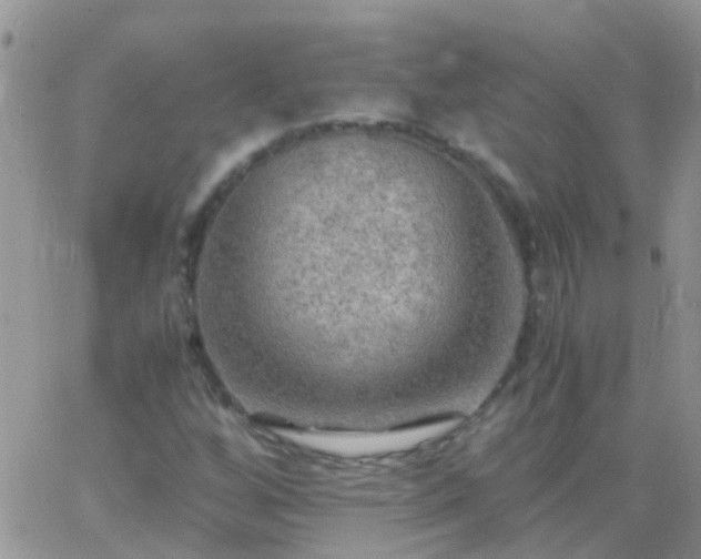 X0000065241256200602242016