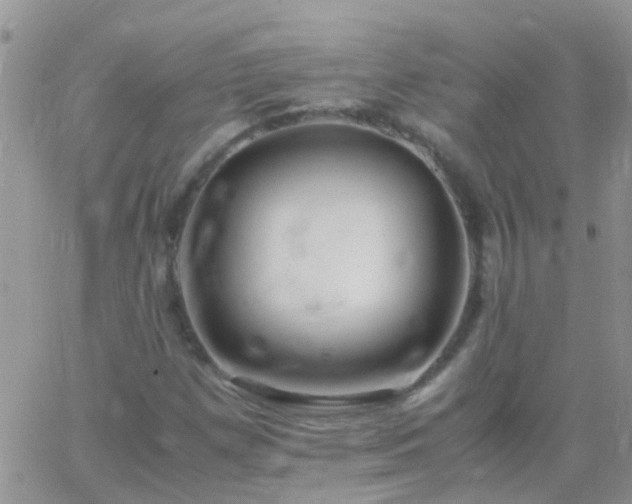 X0000065241257200602242016