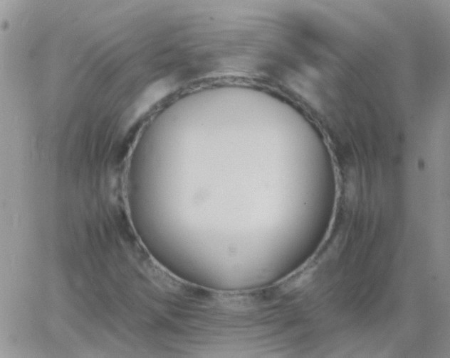 X0000065241258200602242016