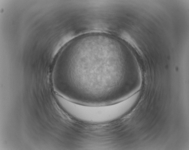 X0000065241260200602242016