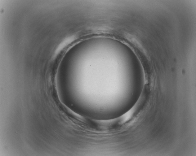 X0000065241261200602242016