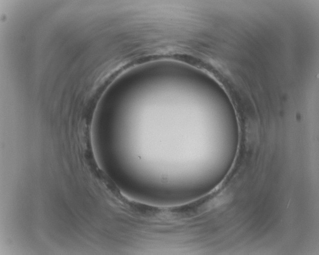 X0000065241265200602242015