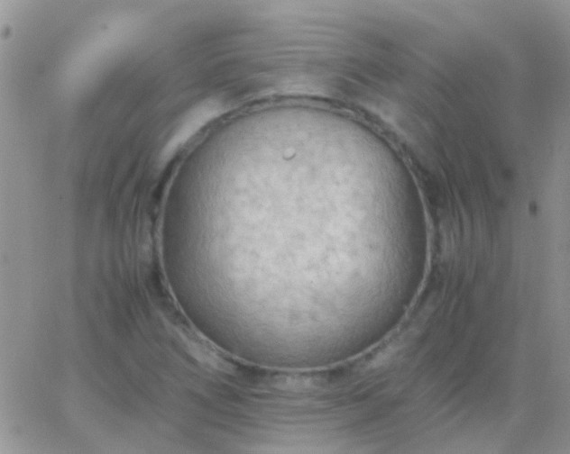 X0000065241266200602242015