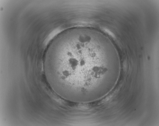 X0000065241267200602242015