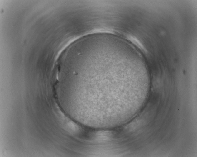 X0000065241268200602242015