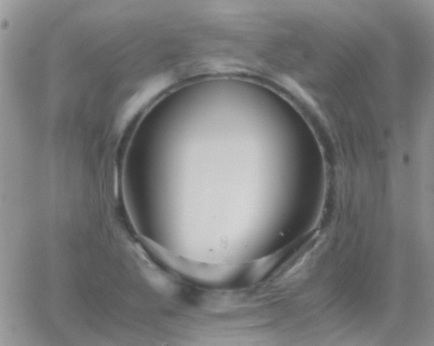 X0000065241269200602242015