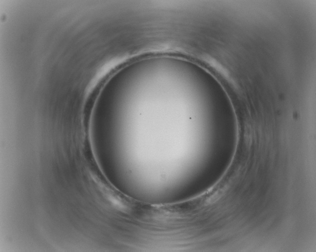 X0000065241270200602242015