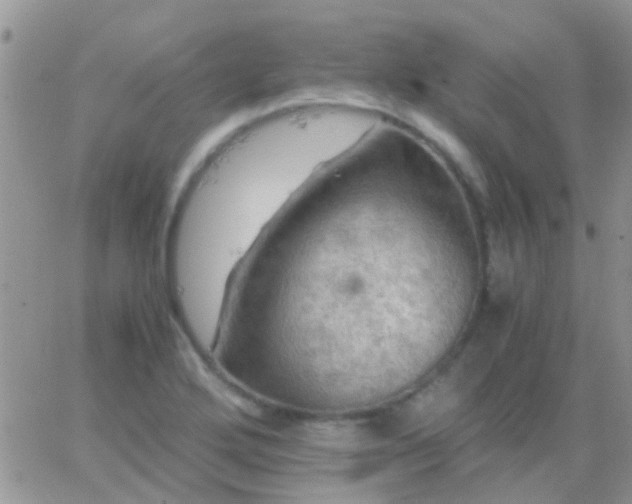 X0000065241272200602242015