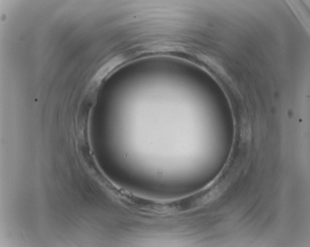 X0000065241273200602242015