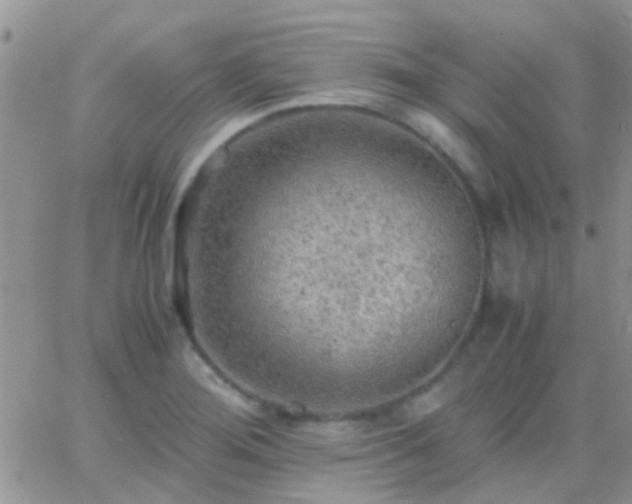 X0000065241276200602242015