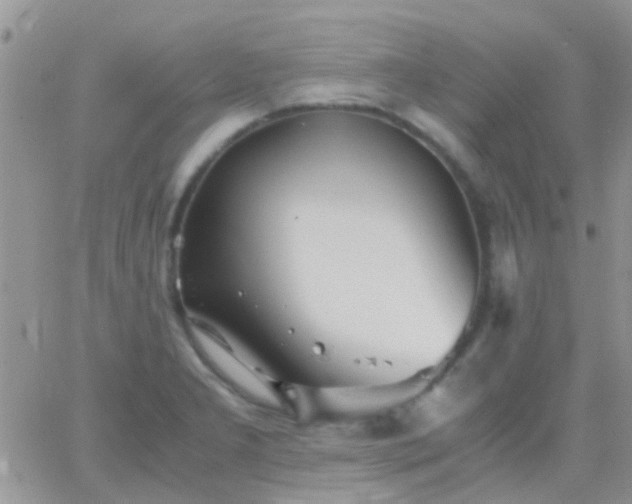 X0000065241277200602242015