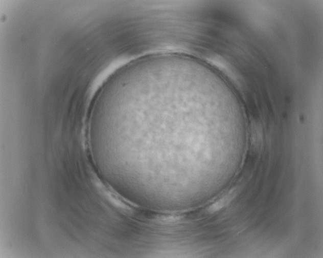 X0000065241278200602242015