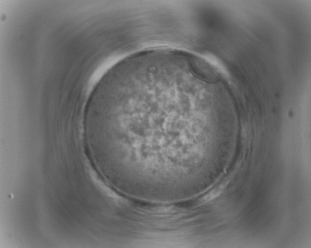 X0000065241279200602242015