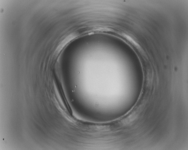 X0000065241281200602242015