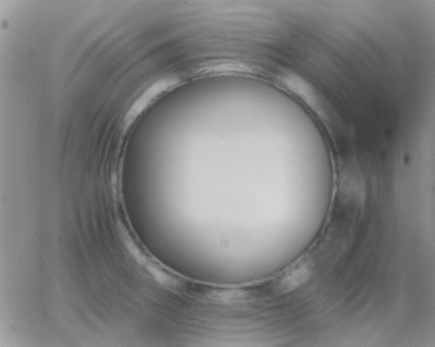 X0000065241282200602242015