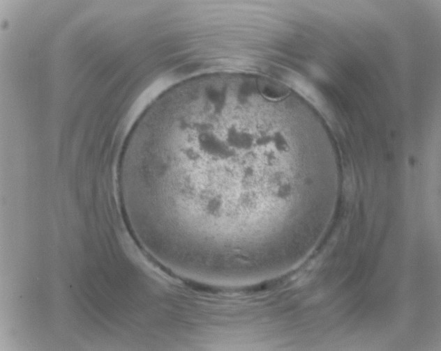 X0000065241283200602242015