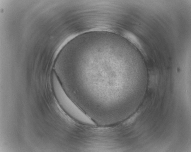 X0000065241284200602242015