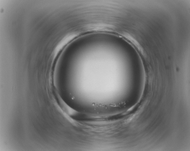 X0000065241285200602242015