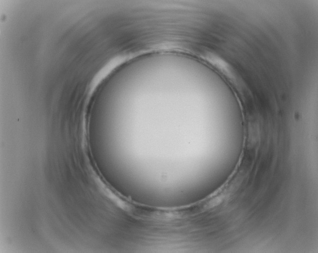 X0000065241286200602242015