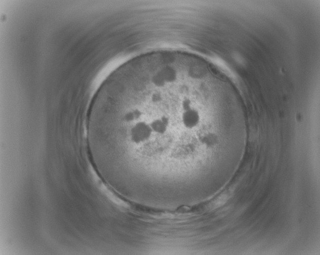 X0000065241287200602242015