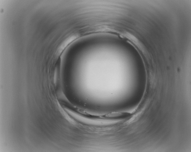 X0000065241289200602242015