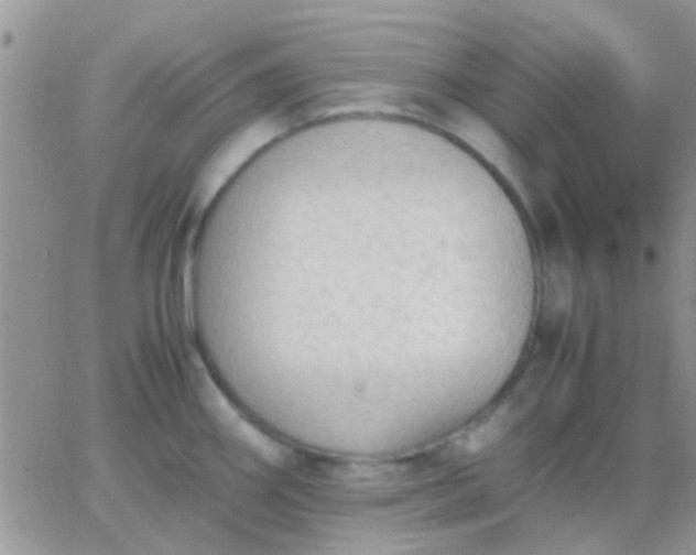 X0000065241290200602242015